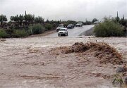 ببینید | جاری شدن سیل در روستای «اُردغان» اسفراین