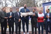 غار علیصدر و هگمتانه عمودهای خیمه گردشگری ما در همدان هستند